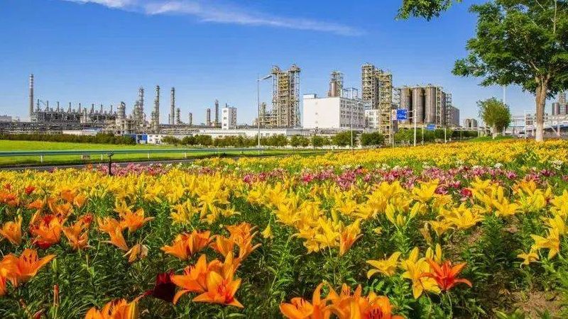行业现状：化工原料市场鱼龙混杂，代理选择需谨慎