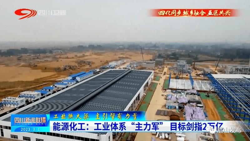工业添加剂国家标准规范大全：定制方案的要点解析